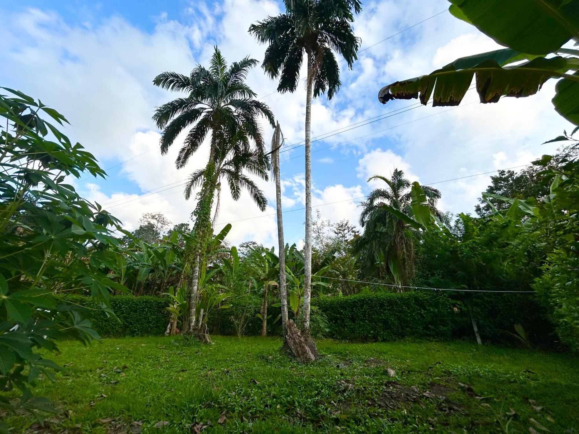 Casa Martin Charming Spanish Holiday home Cahuita